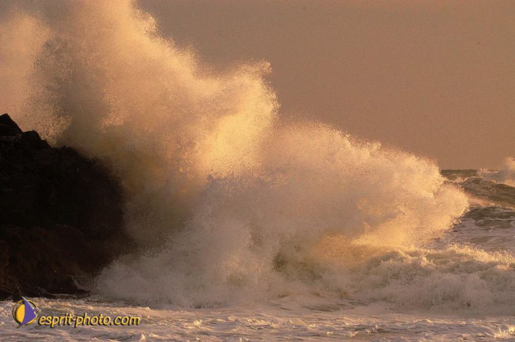 Nom de l'image : EP08-0371_(c)Norbert-JUNG — Description :